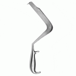 Bierer Ovum Forceps, 16.0 Mm, W/ Out Ratchet, 13" (33.0 Cm)